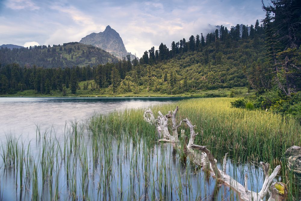 Вид на пик Птица.