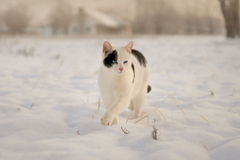 Photograph by Angie Perisse