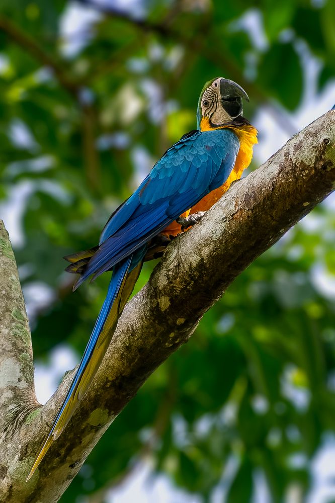 Photograph by Claudio Frateschi