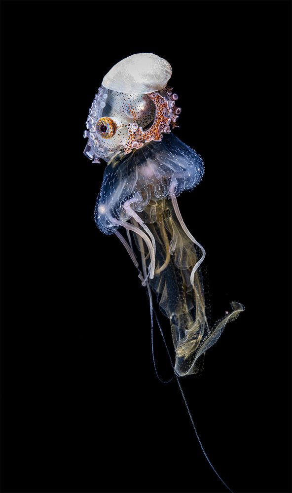 Photograph by Алексей Магай