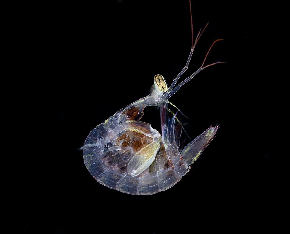 Photograph by Алексей Магай