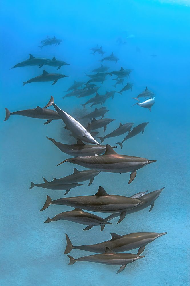 Photograph by Алексей Магай