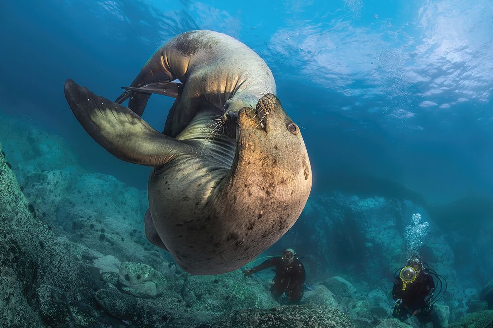 Photograph by Алексей Магай