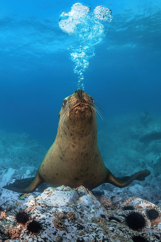 Photograph by Алексей Магай