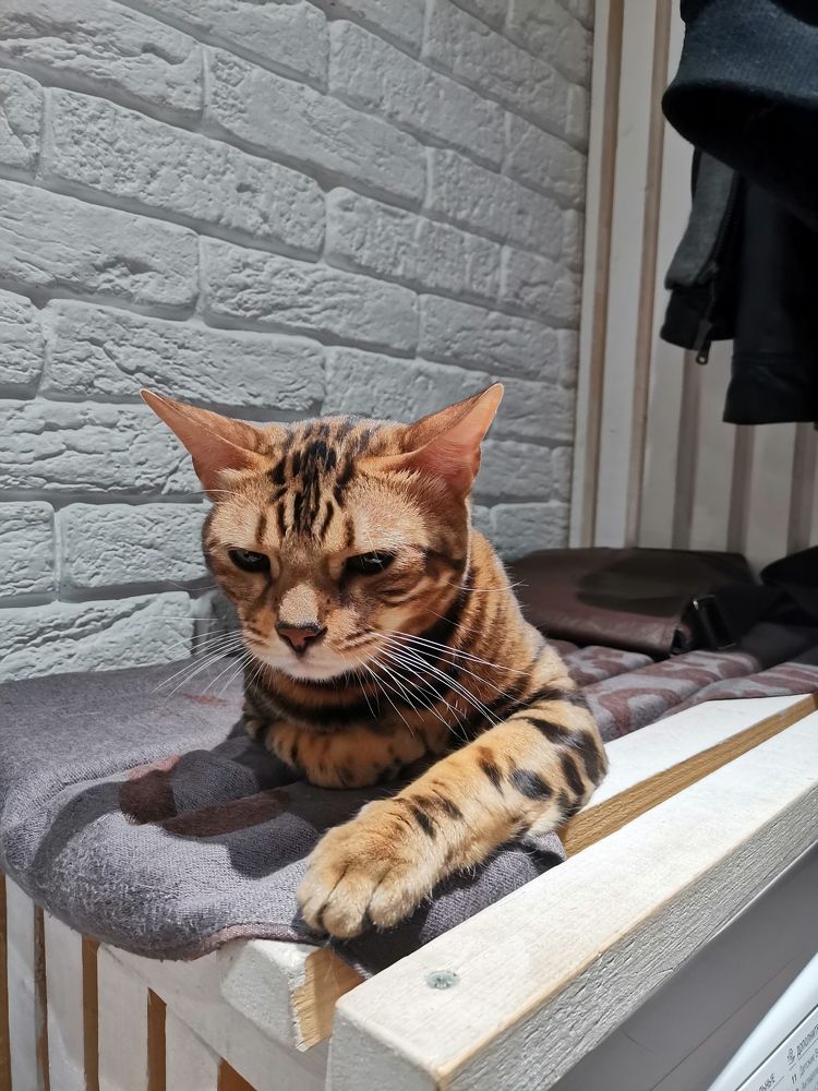 Photograph by Сергей Подлевский