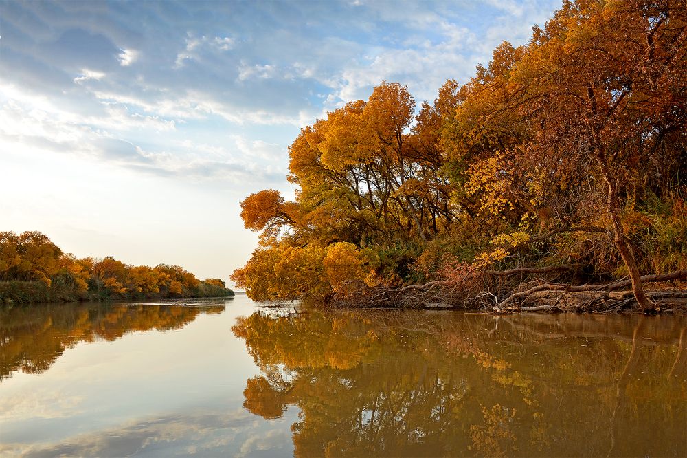 Фотография автора Игорь Ломов