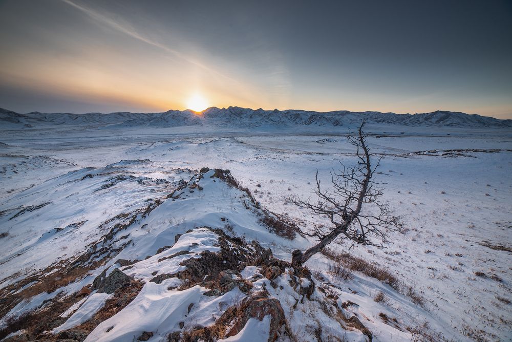 Фотография автора Юлия Горбачёва