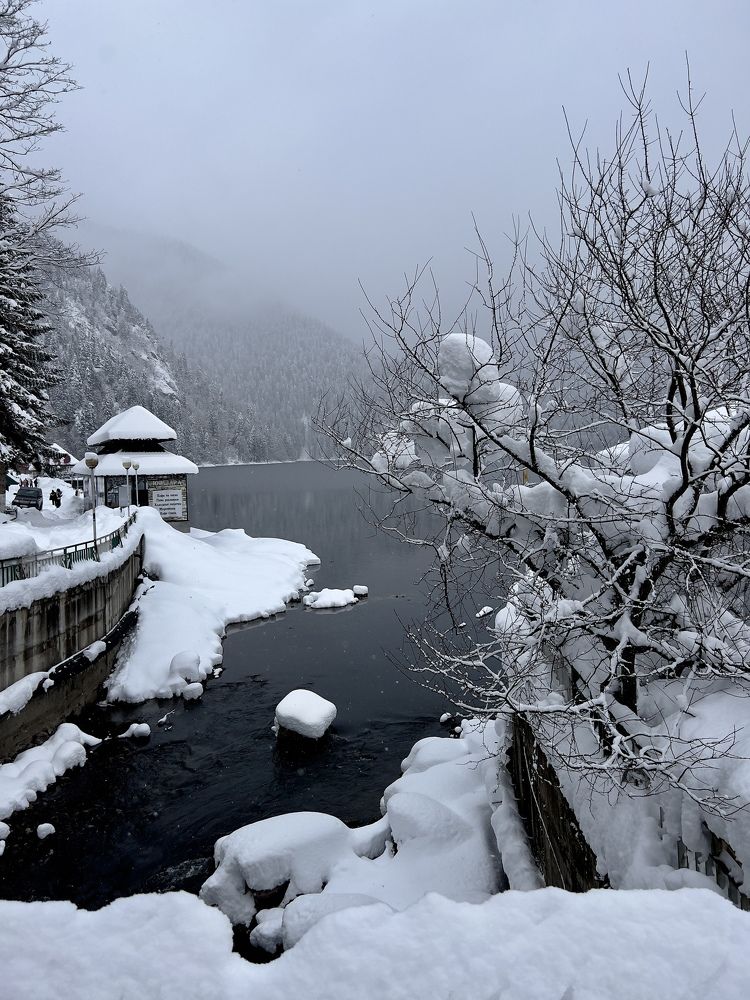 Photograph by Елена Мизина