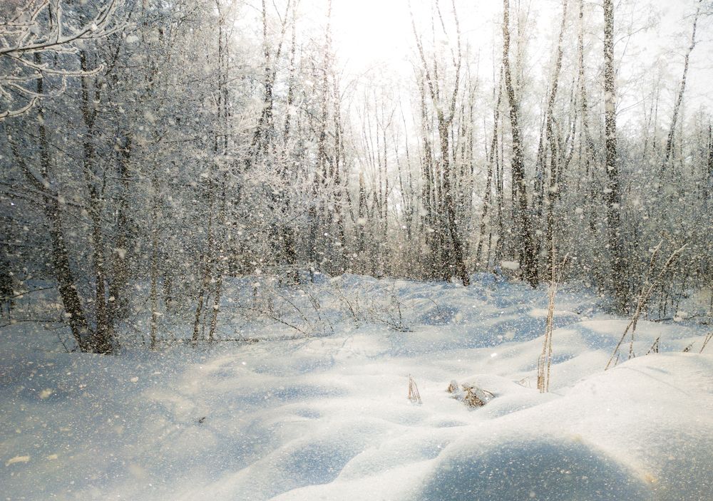 Фотография автора Александр Андреянов