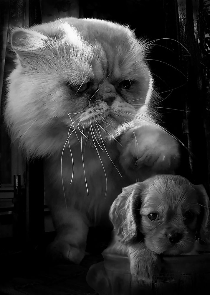 Photograph by Зоя Быкова