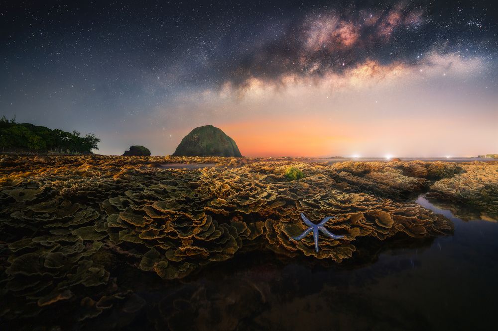 Photograph by Cao Ky Nhan