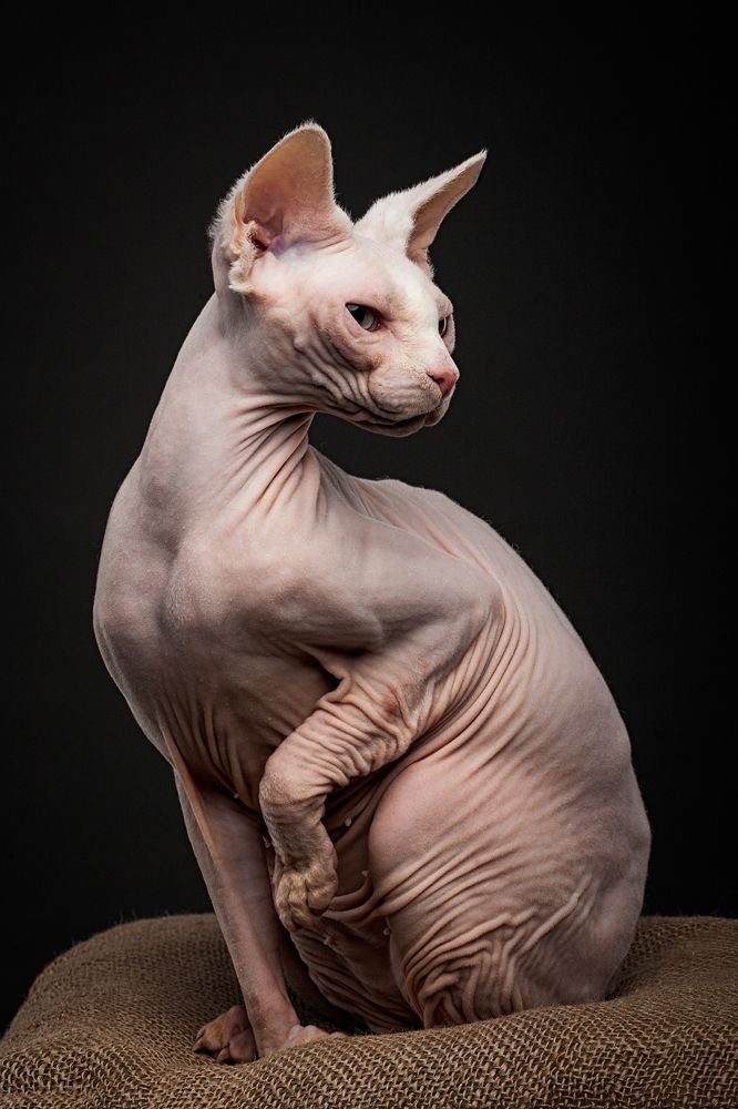 Photograph by Дёгтев Евгений