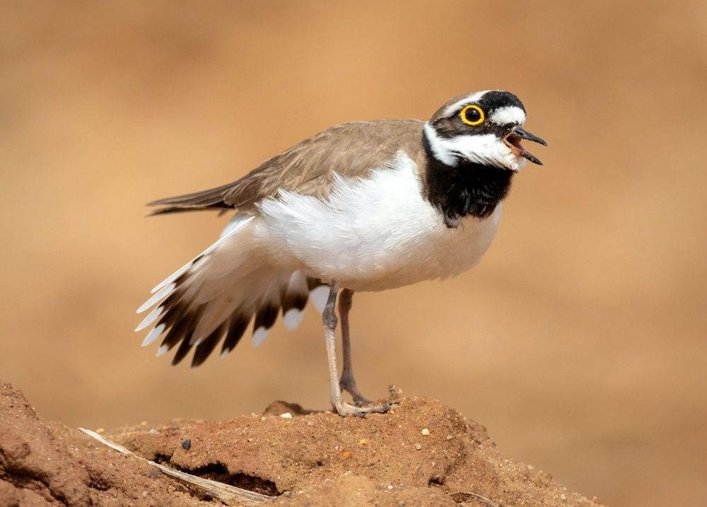 Photograph by Павел Краснослободцев