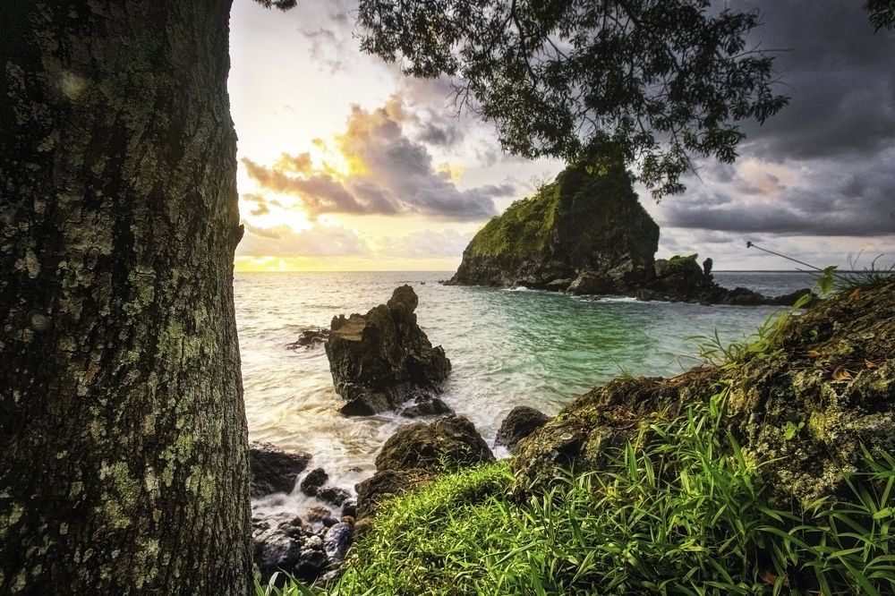 Photograph by faizal ahmed