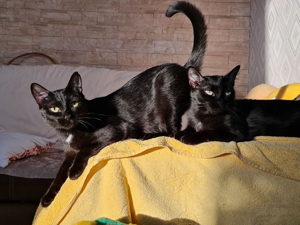 Photograph by фид зон