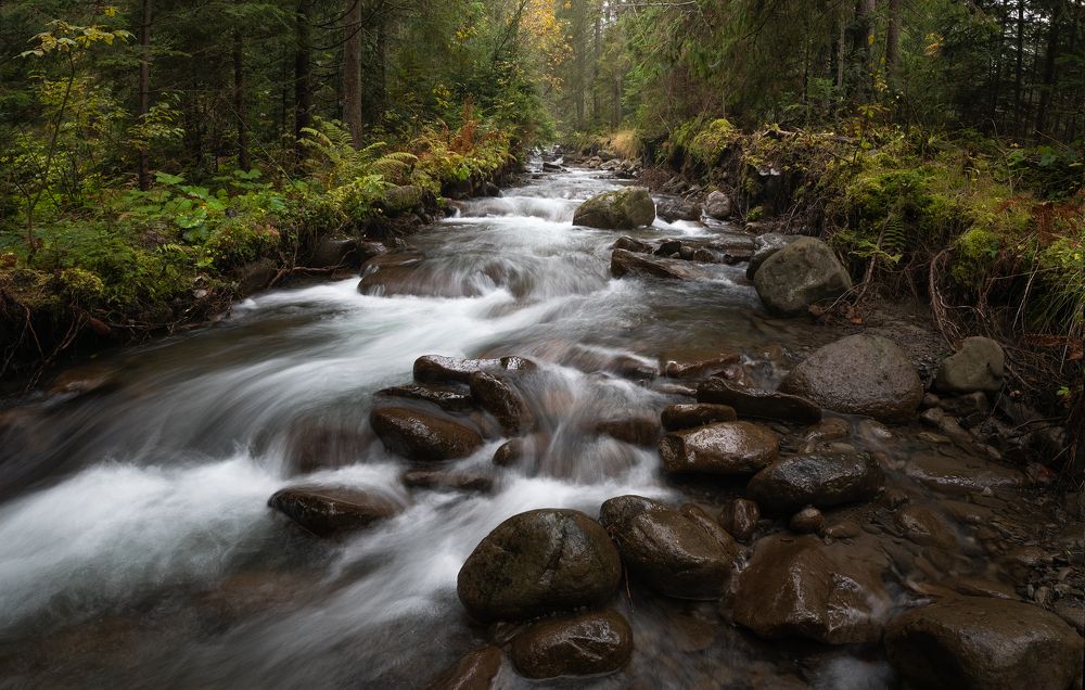 Фотография автора Андрей Жила