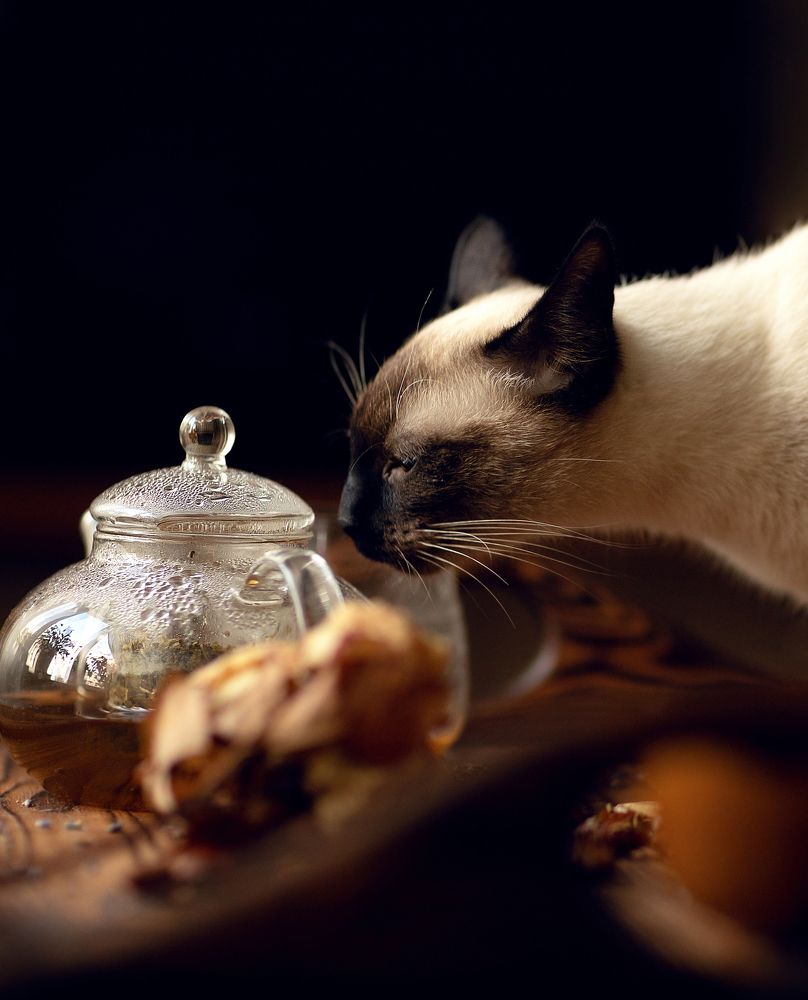 Photograph by Анна