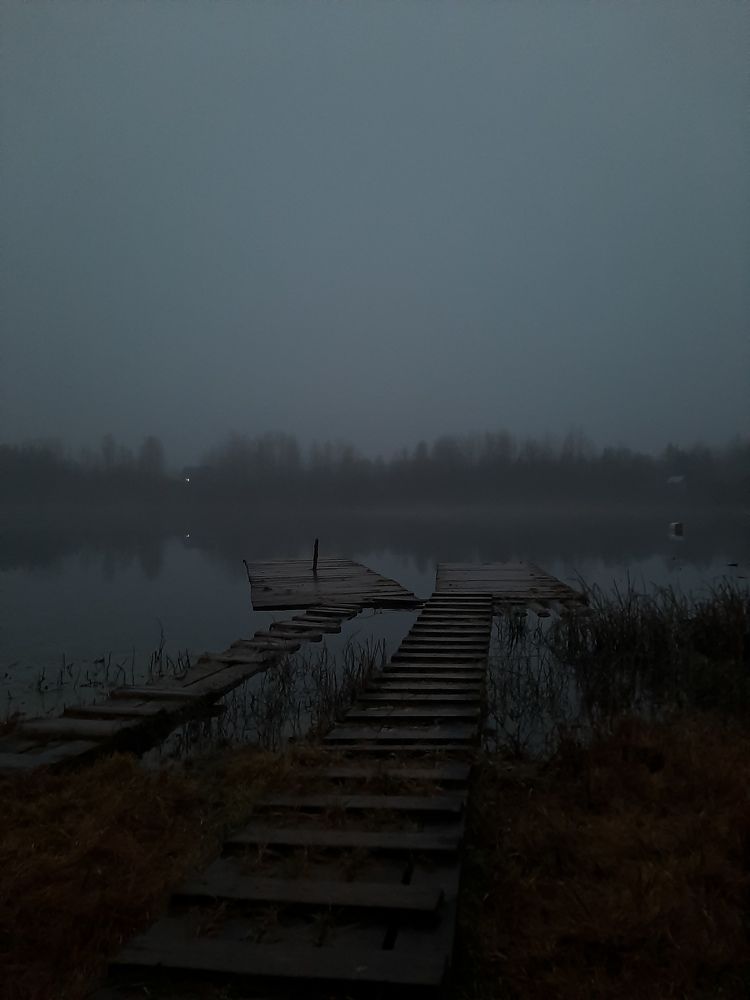 Photograph by Кристина Тарутина