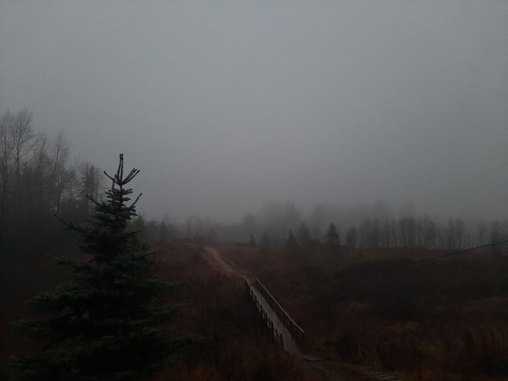 Photograph by Кристина Тарутина