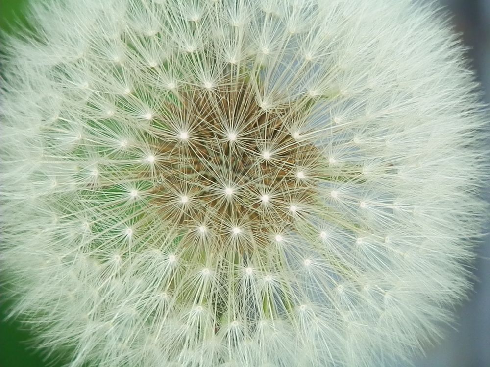 Photograph by Георгий Салюков