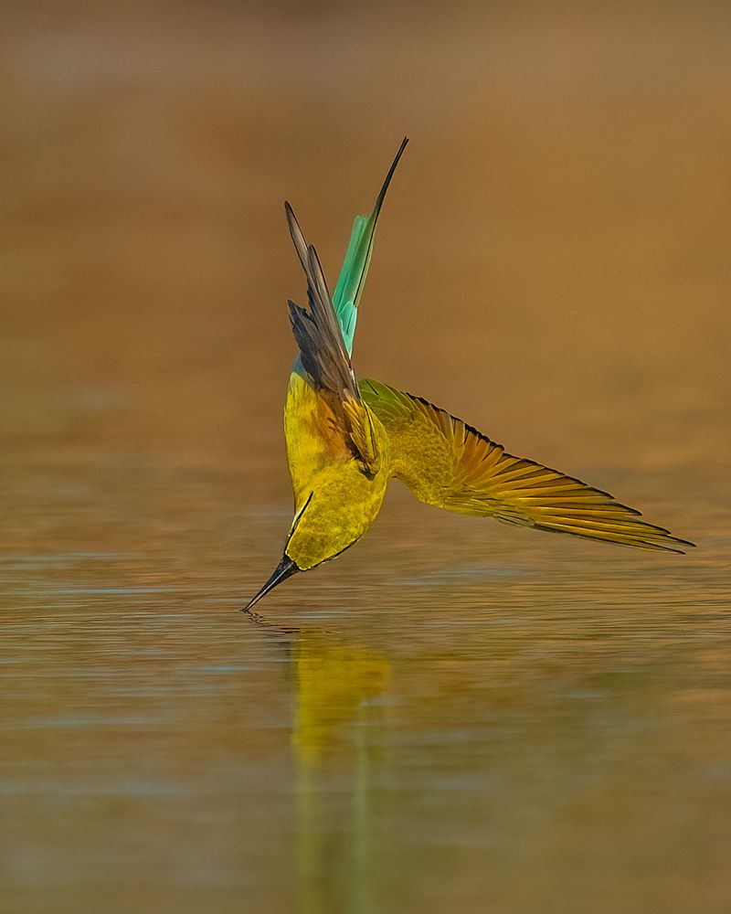 Photograph by Dipin Sreepadmam