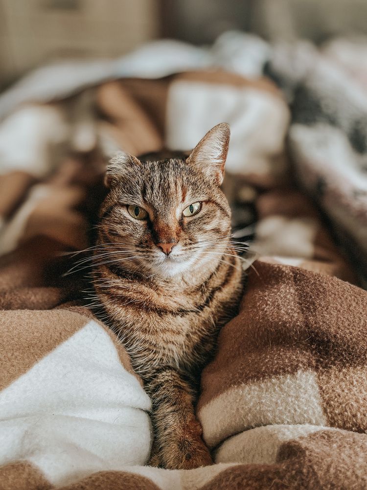 Фотография автора Наталья Вербина