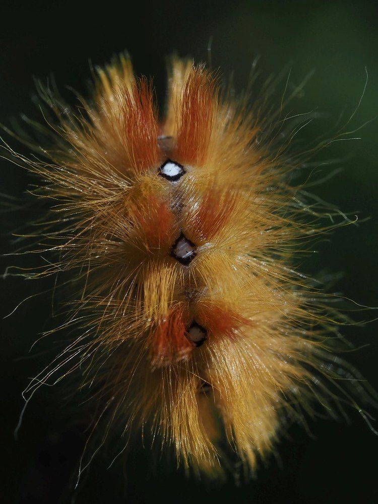 Photograph by Сергей Духанин