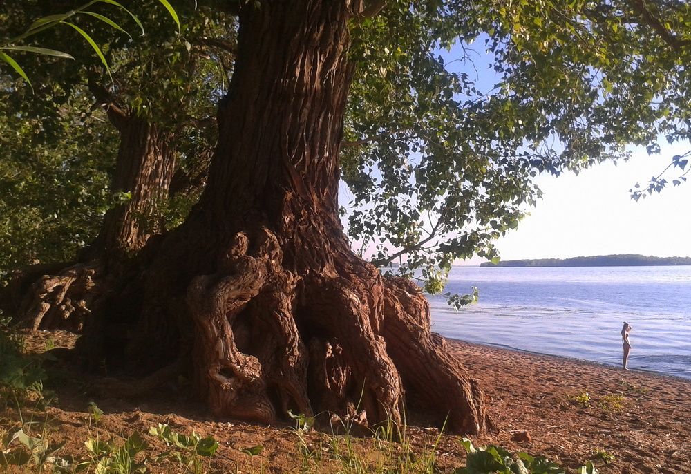 волжский берег