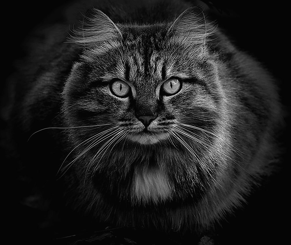 Photograph by Зоя Быкова