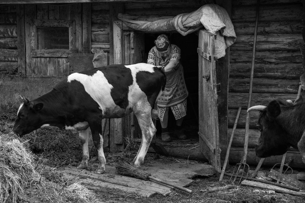 Photograph by Юдина Инна