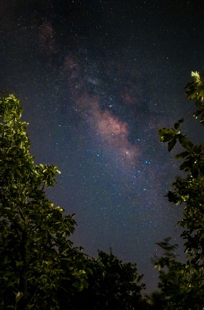 Фотография автора Anantha Rajkumar