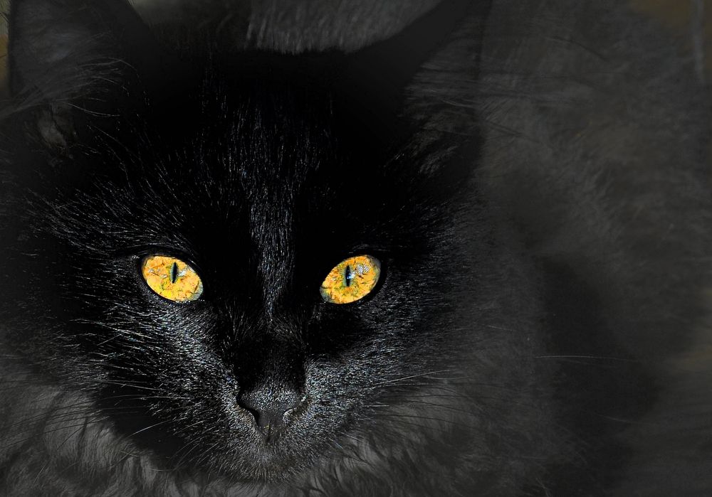 Photograph by Дмитрий Грысюк