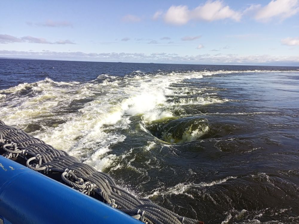 Photo #8883775