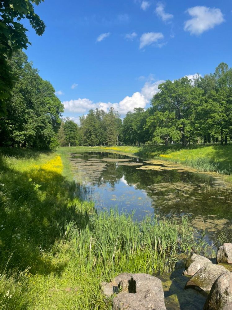 Photograph by Елена Мусина