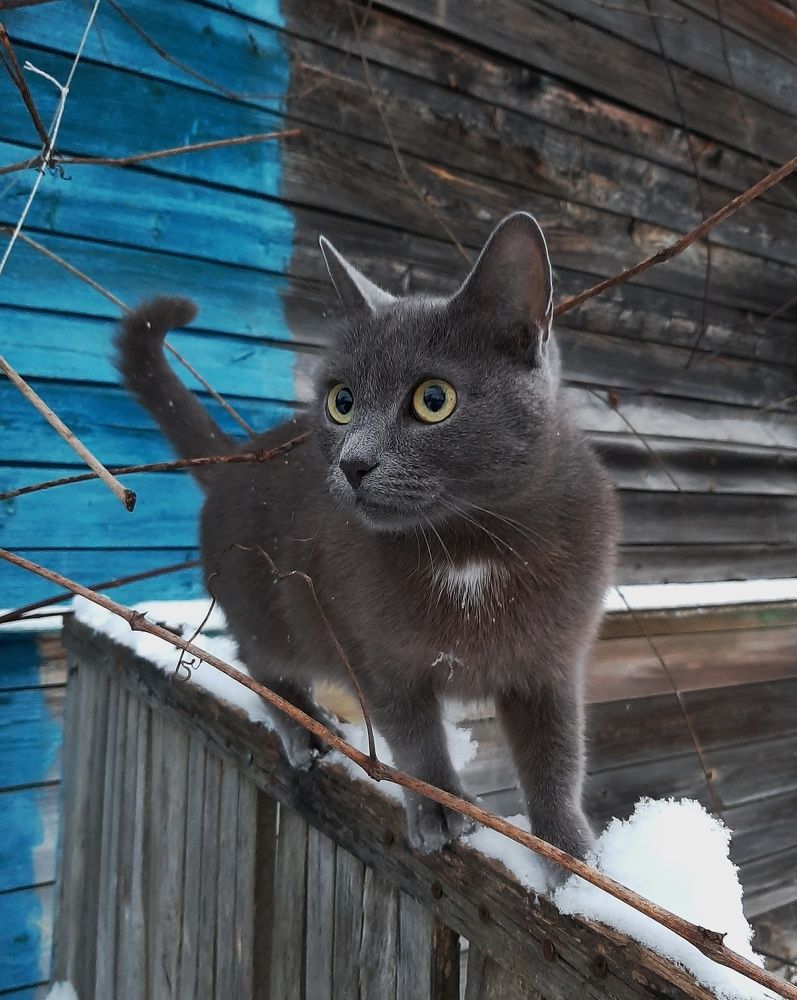 Photograph by Наталья Шехова