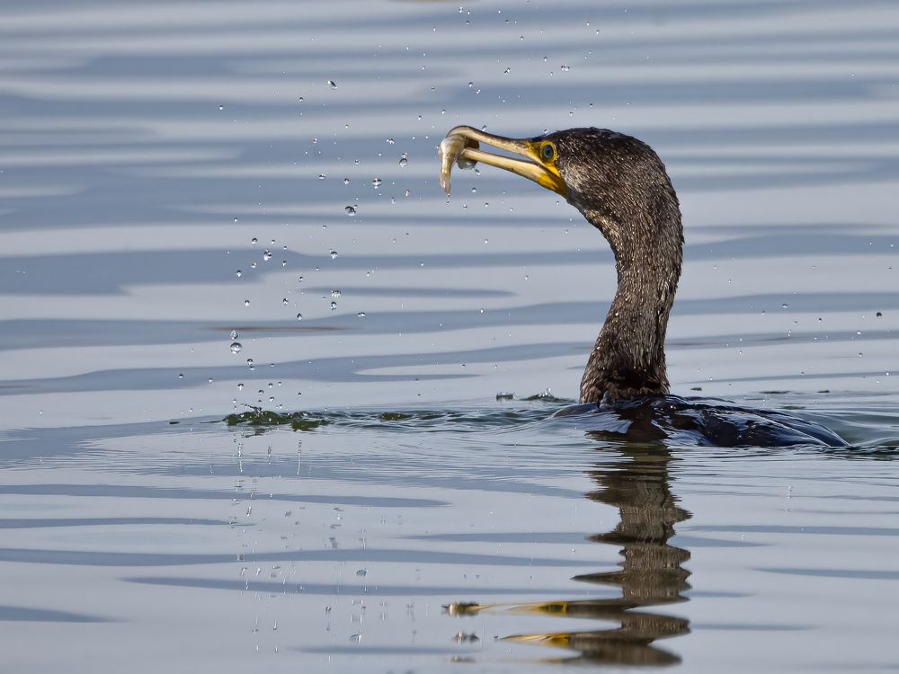 Photograph by Слави Котаров