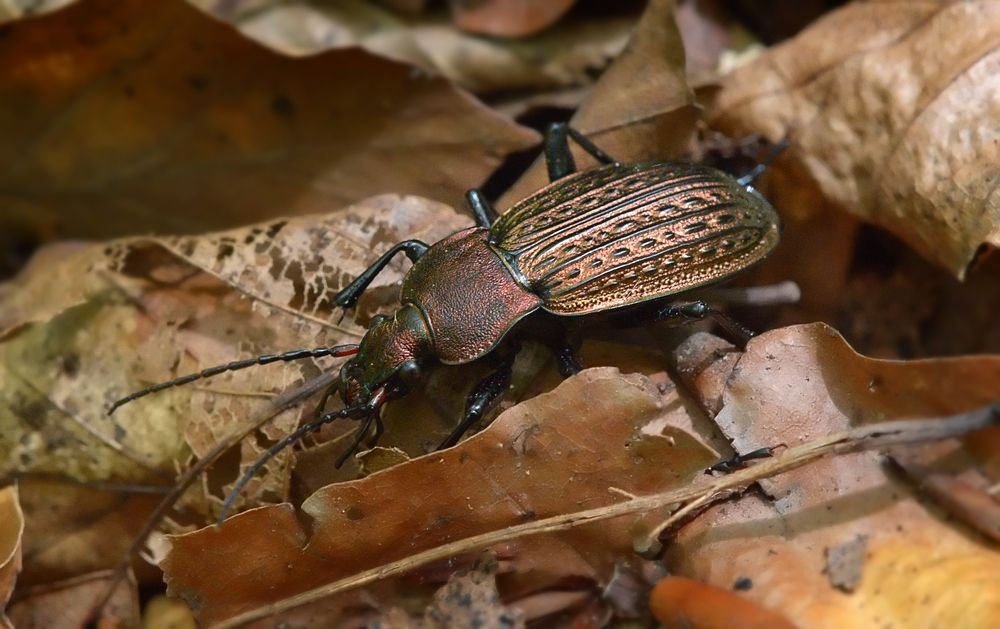 Photograph by Михаил Колтухов