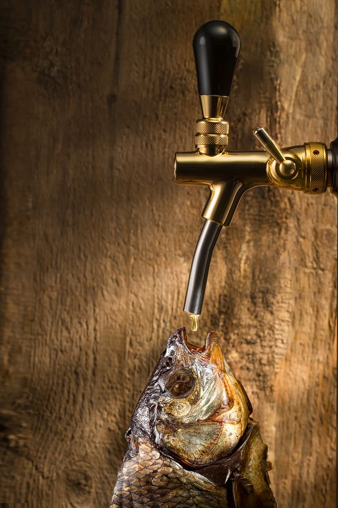 Photograph by Igor Ferrum