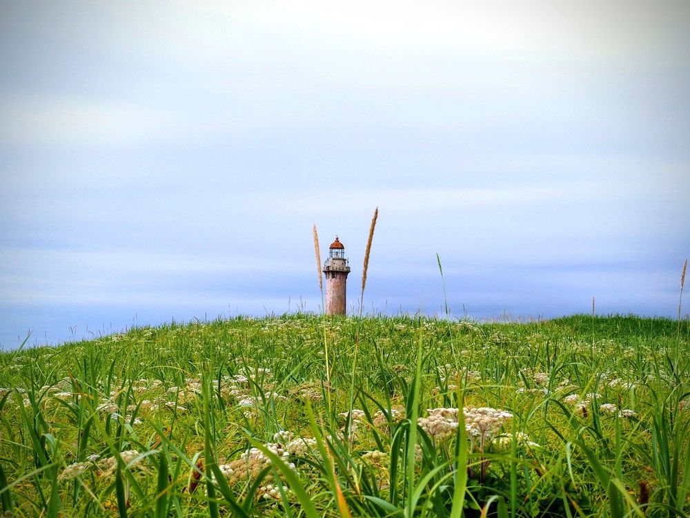 Фотография автора Olena Vorotyntseva