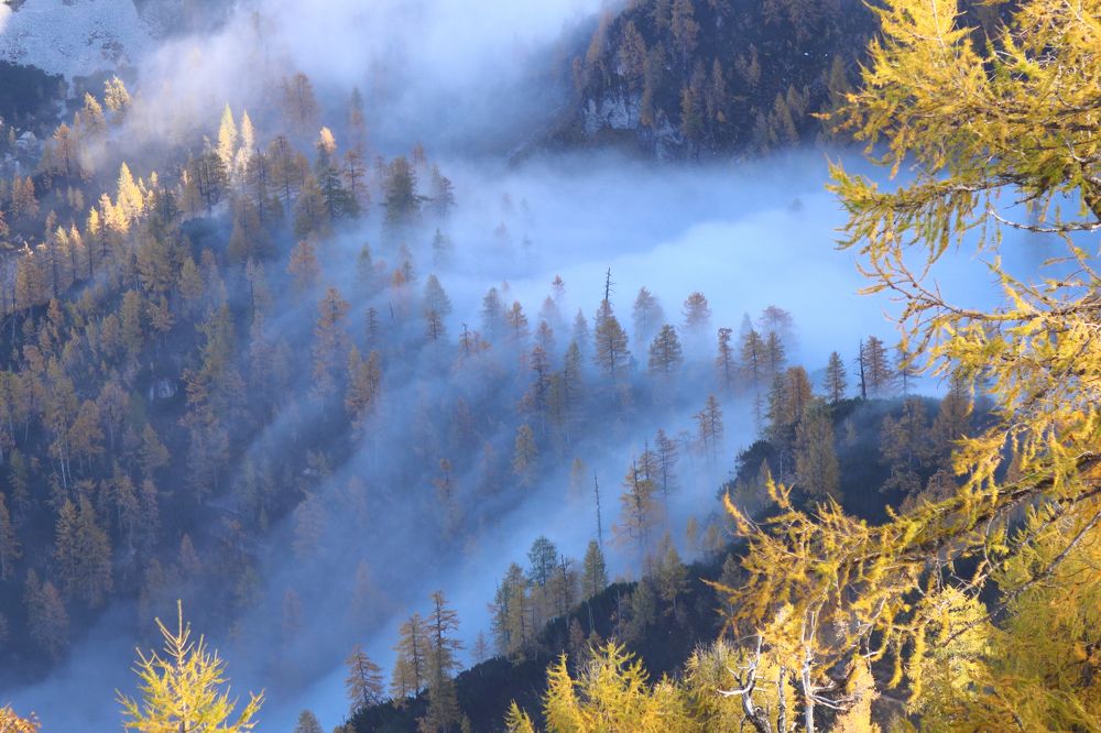 fog on Slemena Špice