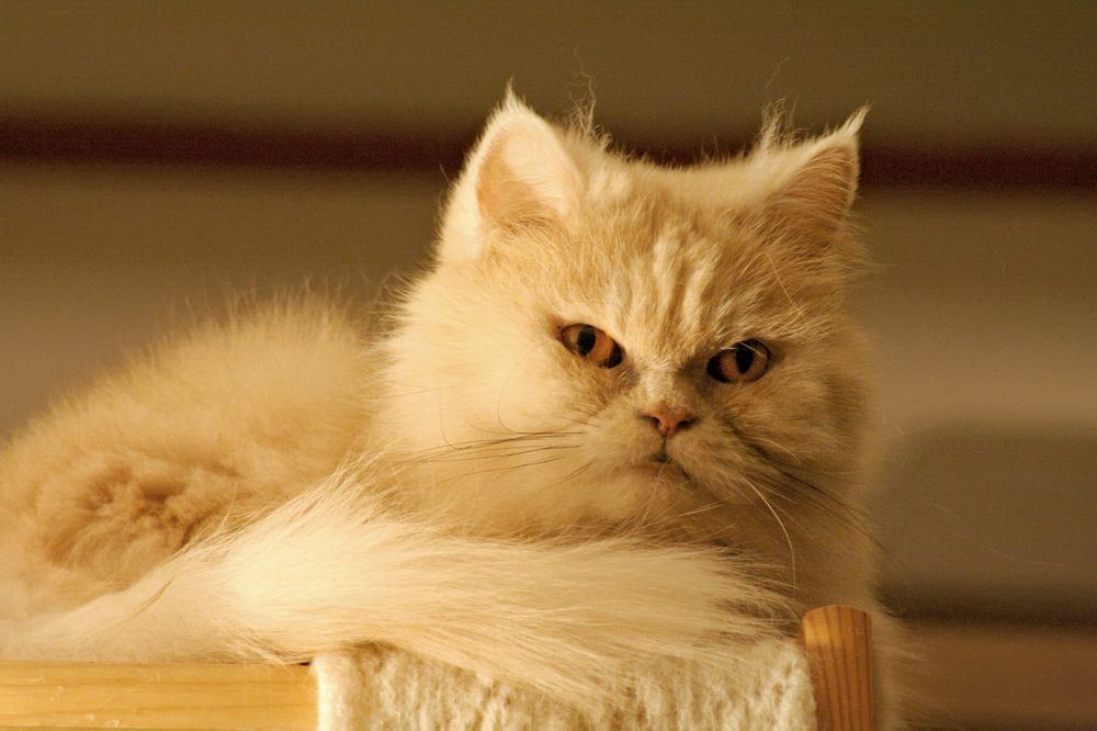 Photograph by Староверов Станислав