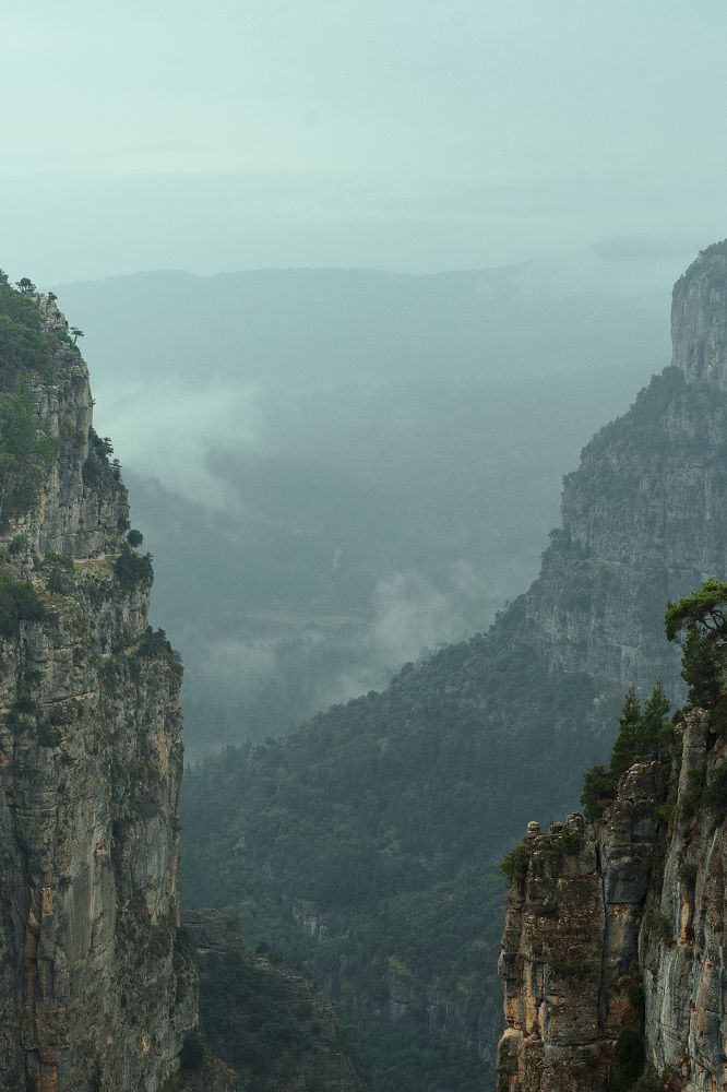 Photograph by Хаустова Олька