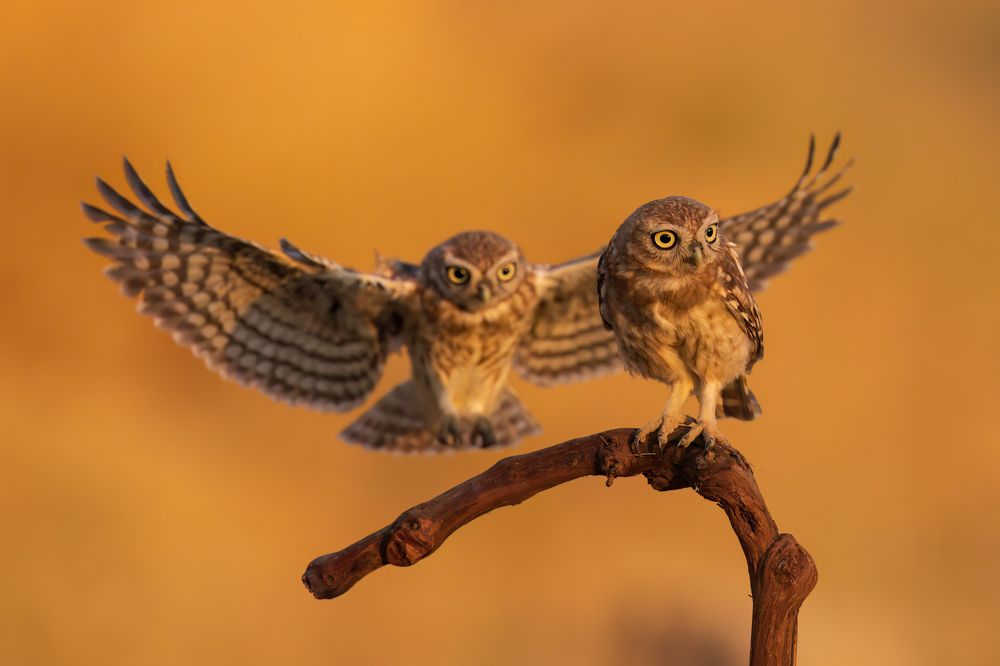 Photograph by Фруман Евгений