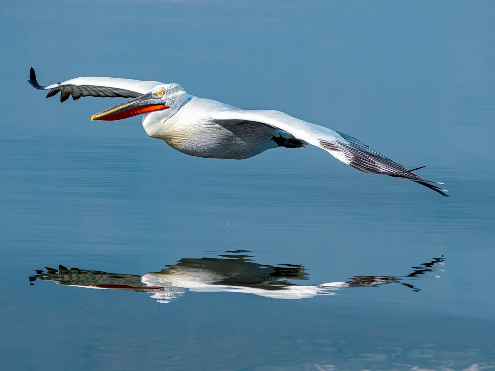 Photograph by Слави Котаров