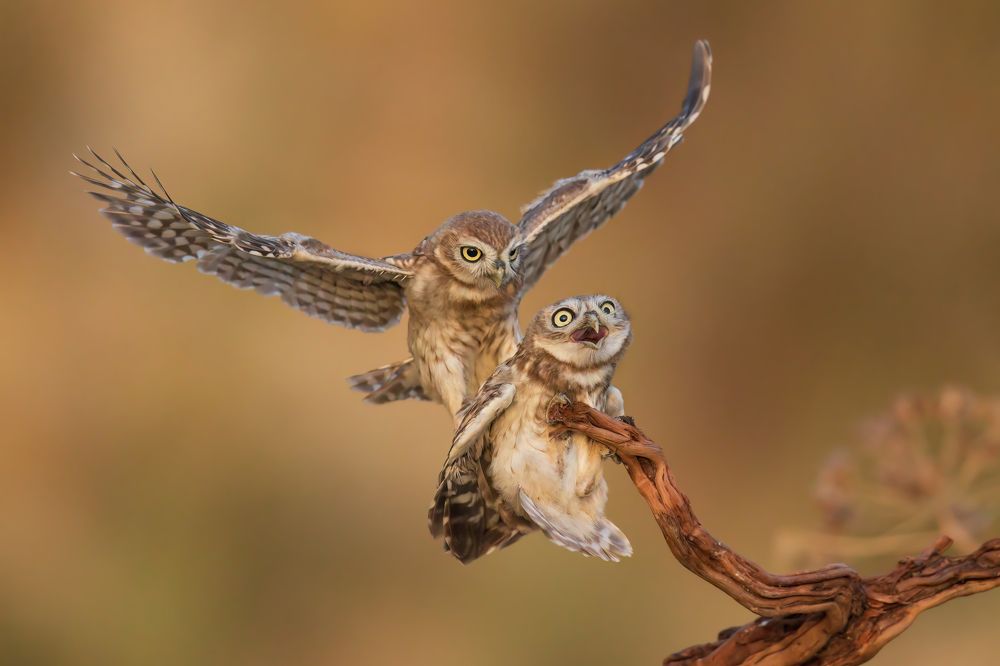 Photograph by Фруман Евгений