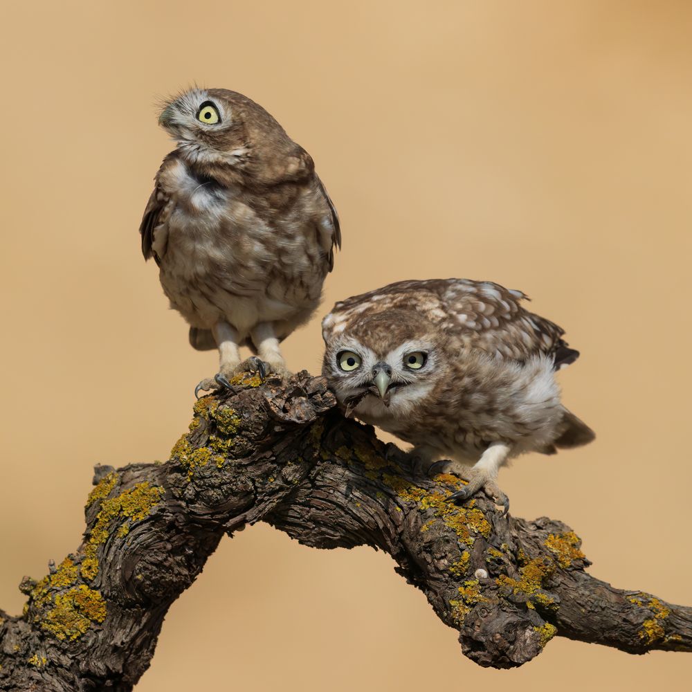 Photograph by Фруман Евгений