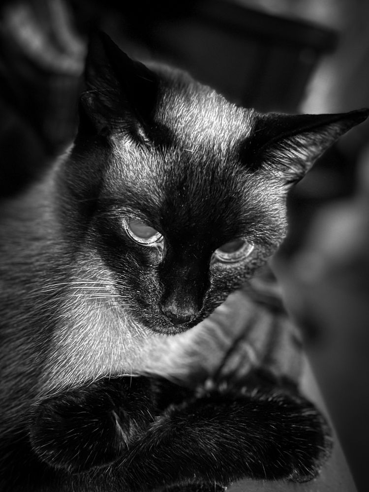 Photograph by Галина Аскольдовна Луковникова