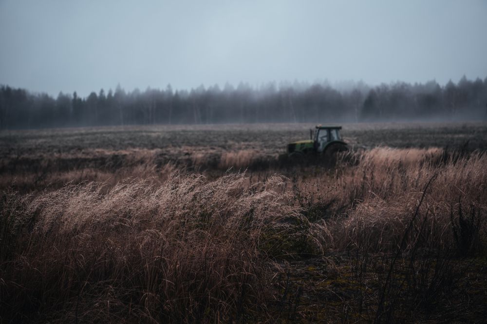 Фотография автора Екатерина Лапаева