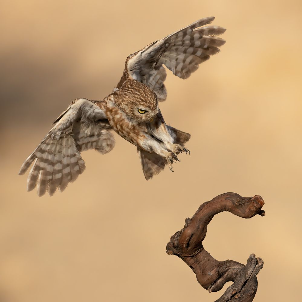 Photograph by Евгений Фруман