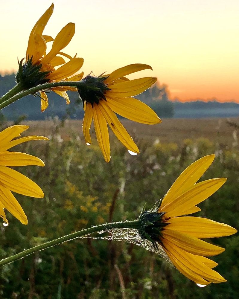 Photograph by Лариса Акинчиц